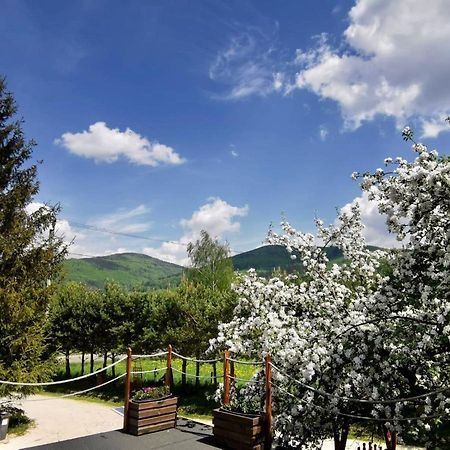 Agroturystyka Pod Sniezna Быстшица-Клодзкая Экстерьер фото