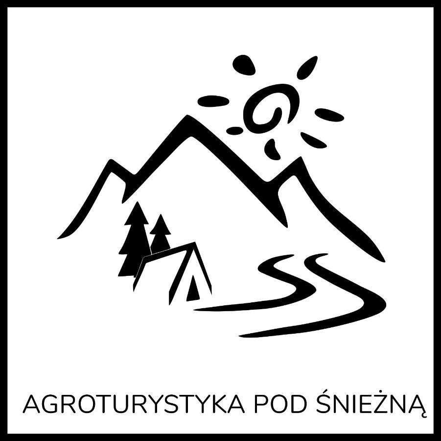 Agroturystyka Pod Sniezna Быстшица-Клодзкая Экстерьер фото