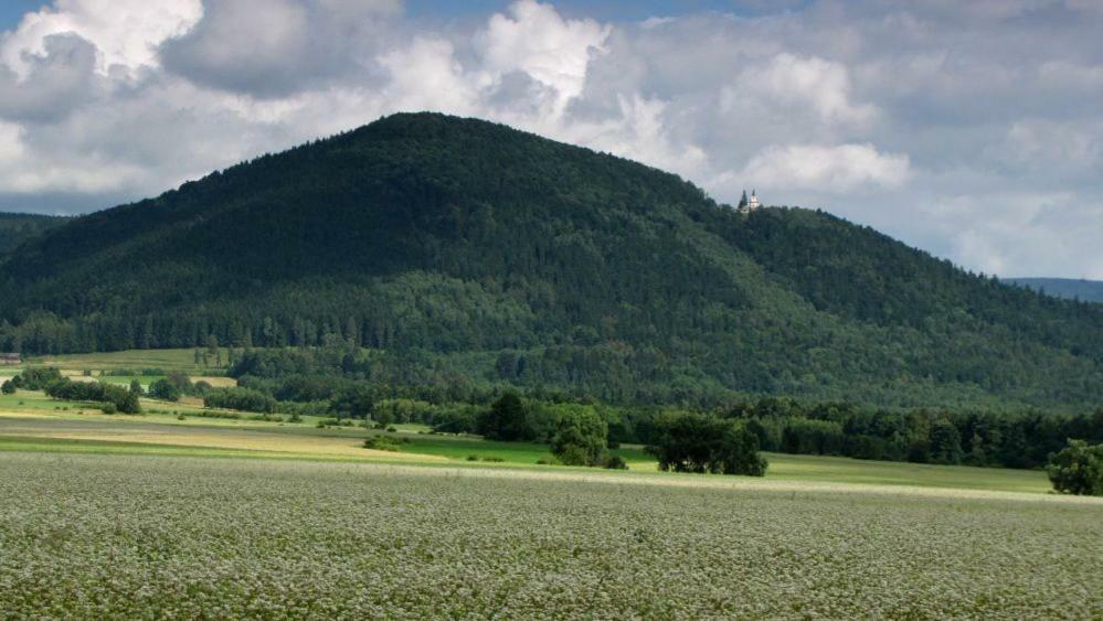Agroturystyka Pod Sniezna Быстшица-Клодзкая Экстерьер фото