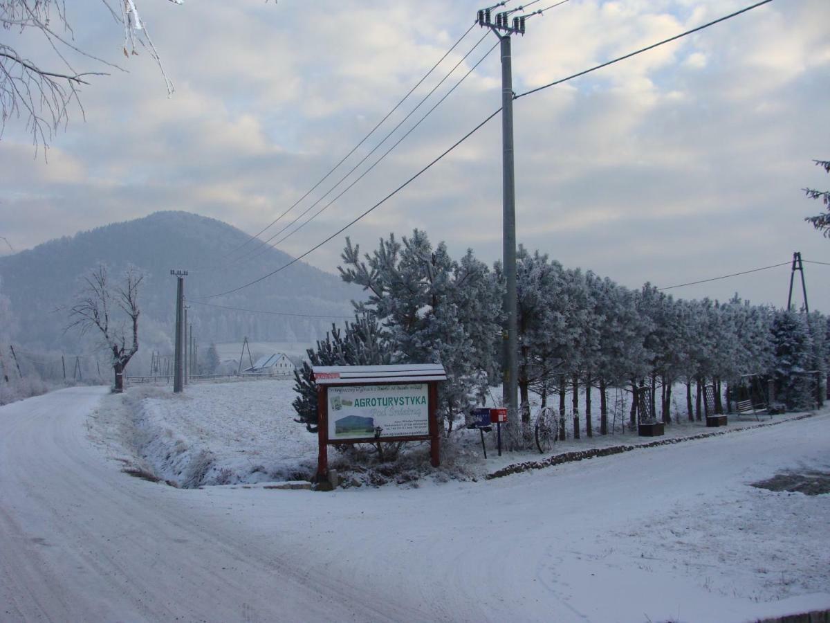 Agroturystyka Pod Sniezna Быстшица-Клодзкая Экстерьер фото