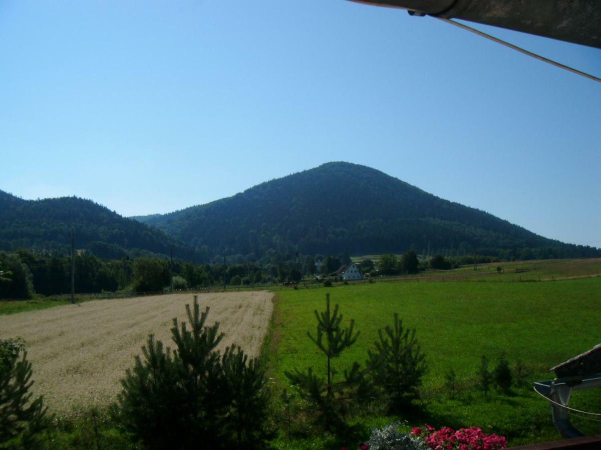 Agroturystyka Pod Sniezna Быстшица-Клодзкая Экстерьер фото